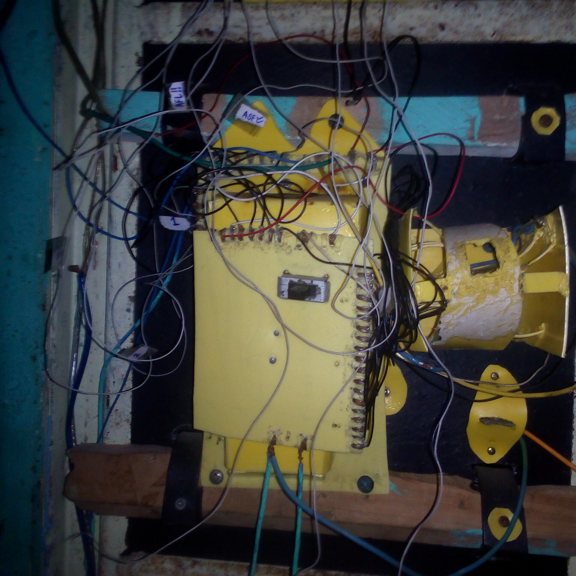 Tech innovator portrait